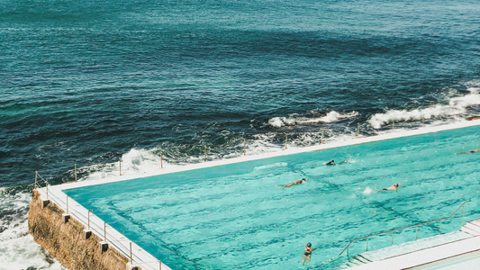 Bondi Liquor Co: A Taste of Bondi in Every Sip