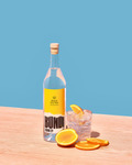 Beach Dry Gin